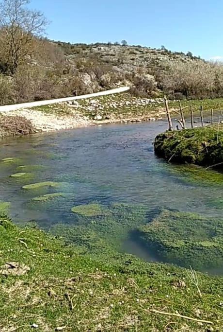 Willa Il Borgo Della Zittola Montenero Val Cocchiara Zewnętrze zdjęcie